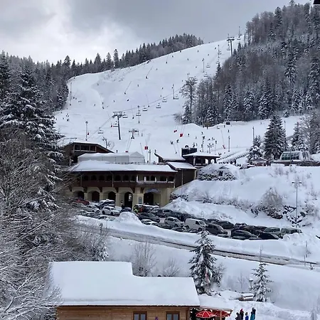 Les Oursons - Parking Prive La Bresse