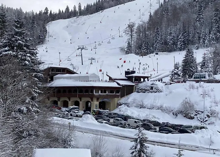 Les Oursons - Parking Prive La Bresse