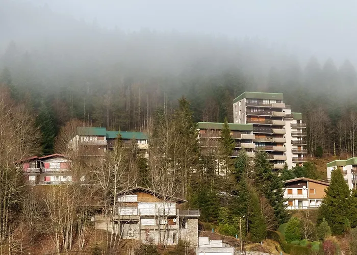 Apartmán Les Oursons - Parking Prive *